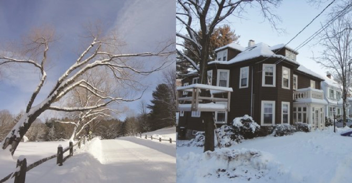 บ้านสีน้ำตาล(The brown house) บ้านสีน้ำตาล(The brown house)