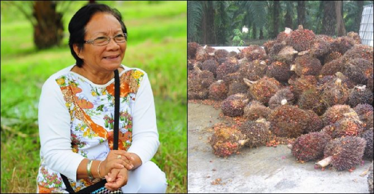 ปรับปรุงบำรุงดินเพิ่มผลผลิต-รายได้ ปรับปรุงบำรุงดินเพิ่มผลผลิต-รายได้