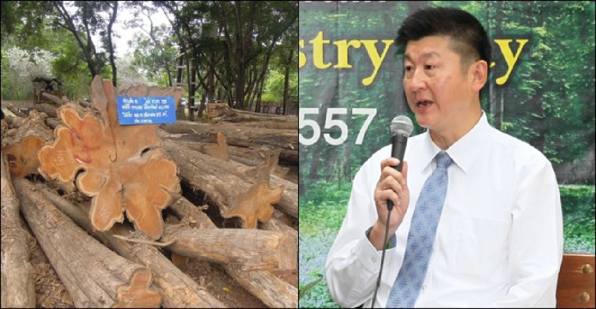 กระตุ้นสังคมเห็นค่า'ไม้พะยูง' กระตุ้นสังคมเห็นค่า'ไม้พะยูง'