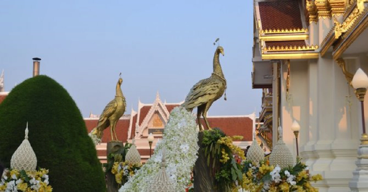 นกยูงทองเด่นตระหง่านบนเมรุหลวงพระราชทานเพลิงศพ'สมเด็จเกี่ยว' นกยูงทองเด่นตระหง่านบนเมรุหลวงพระราชทานเพลิงศพ'สมเด็จเกี่ยว'