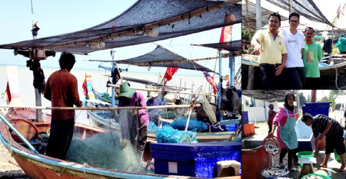 หยุด!ท่าเรือน้ำมันท่าศาลา หยุด!ท่าเรือน้ำมันท่าศาลา