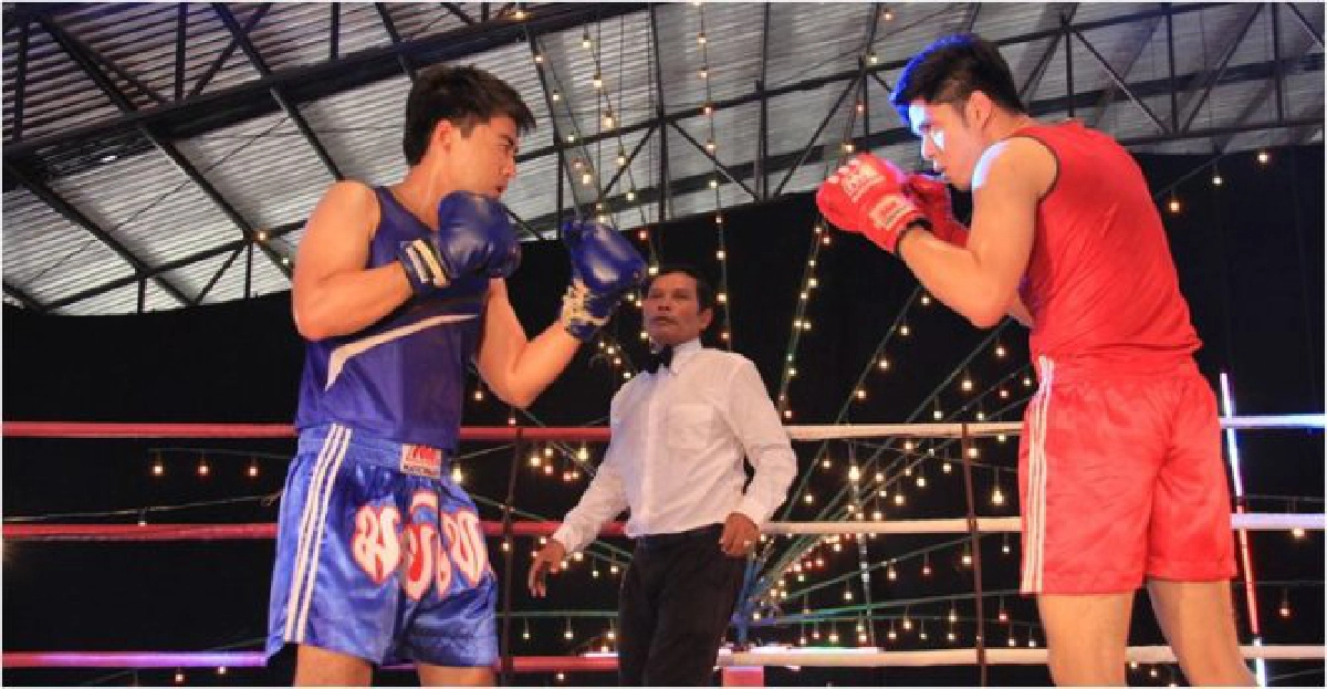 'เติ้ล'อ่วมสู้หมัด'ไม้'-'กรีน'ชูป้ายไฟเชียร์ติดขอบเวที