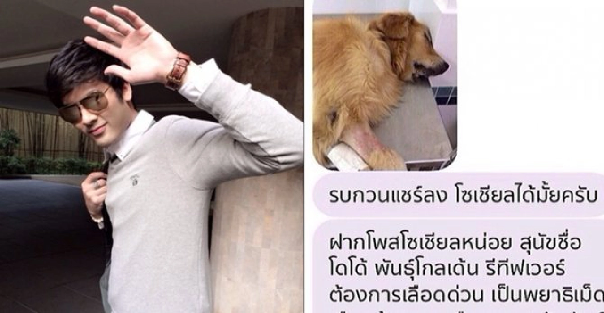 ด่ากระหน่ำ!ไม่เว้นภาพ'หมา' ด่ากระหน่ำ!ไม่เว้นภาพ'หมา'