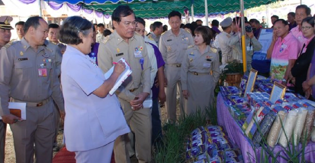 โรงสีข้าวพระราชทาน'ท่าวังผา'ศูนย์ชุมชนเพื่อความพอเพียง โรงสีข้าวพระราชทาน'ท่าวังผา'ศูนย์ชุมชนเพื่อความพอเพียง