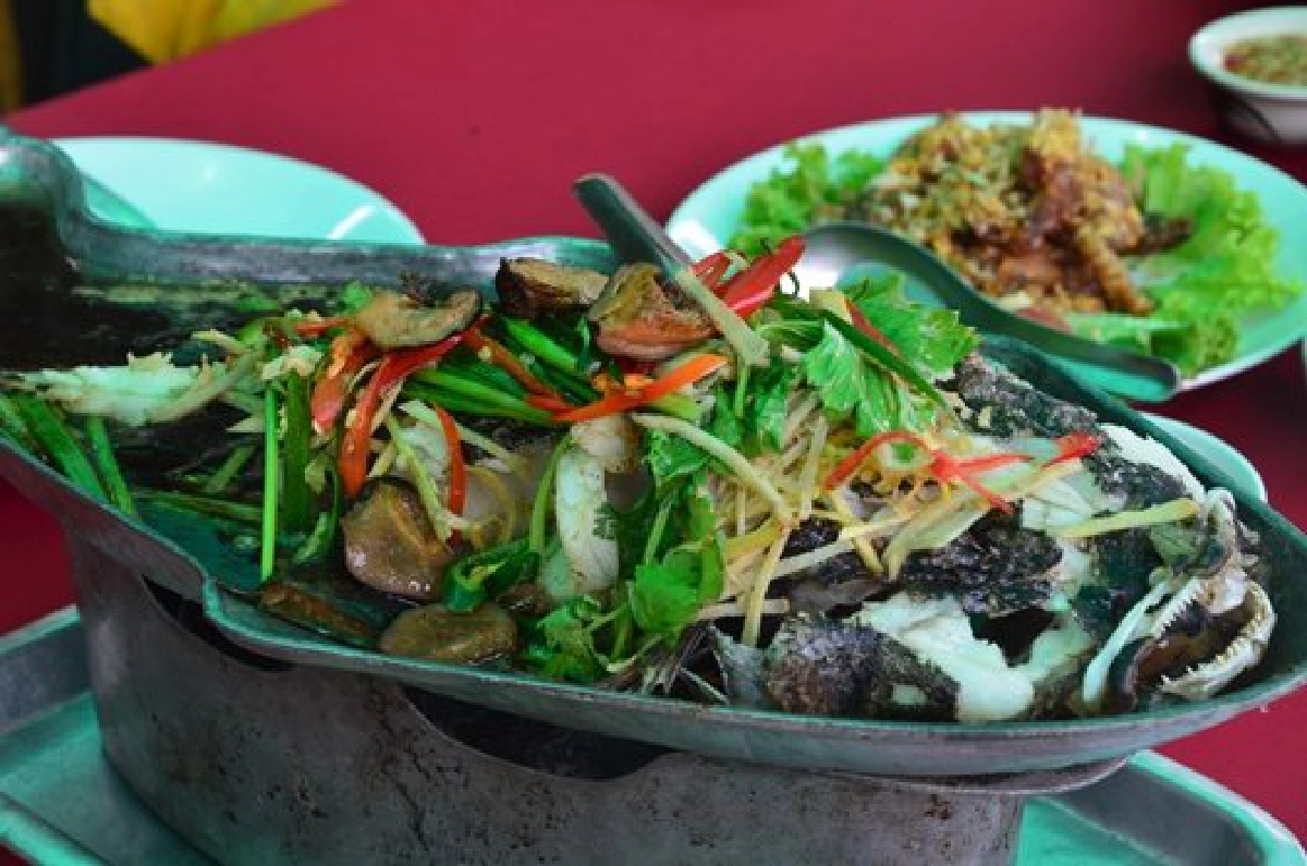 บ่อปลา เหยี่ยวแดง ฅนพลัดถิ่น บ่อปลา เหยี่ยวแดง ฅนพลัดถิ่น