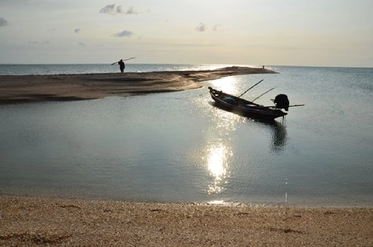ชวนเที่ยว : ตามหา นกเภา ที่ดอนสัก