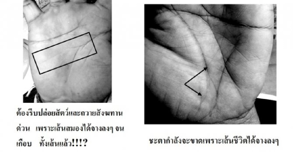 สงกรานต์ดีอย่างไร?