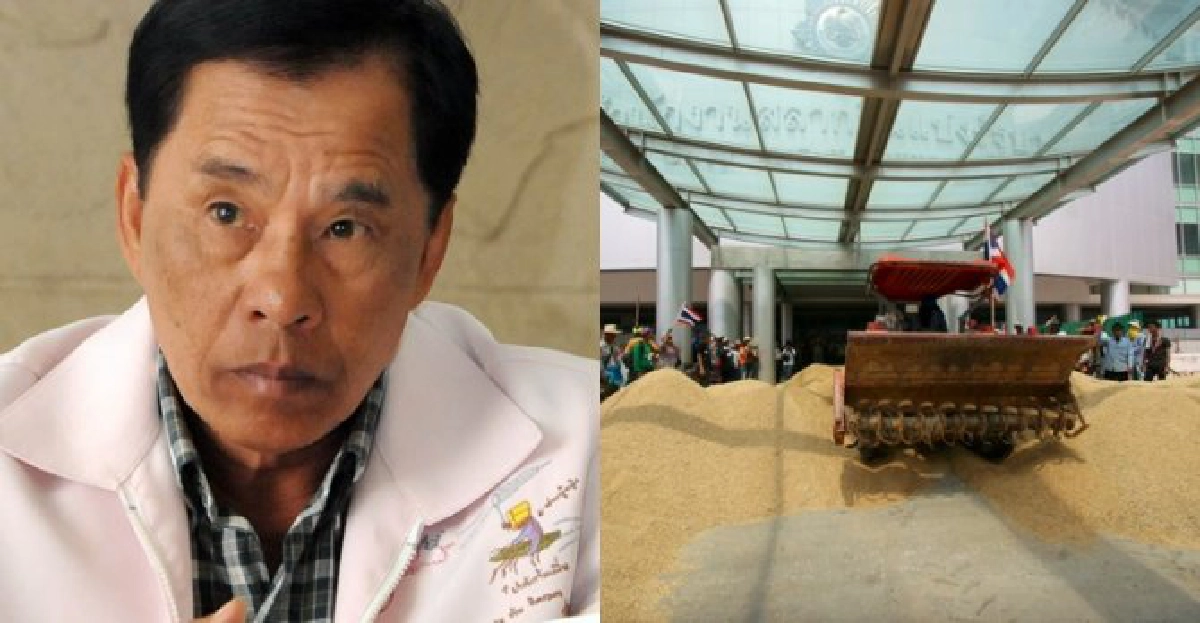 'จำนำข้าว'บทเรียนล้ำค่าชาวนาไทย 'จำนำข้าว'บทเรียนล้ำค่าชาวนาไทย