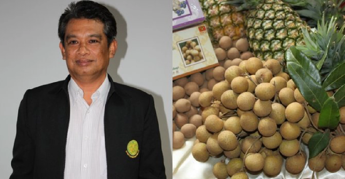 กพส.ทุ่ม4พันล.หนุนธุรกิจสหกรณ์สนองนโยบายรัฐ-ลดต้นทุนสมาชิก 