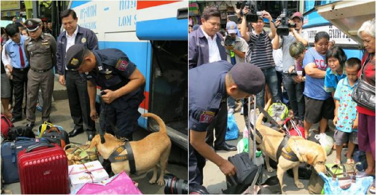 'พงศพัศ'ตรวจหมอชิตสกัดยาเสพติดทะลักเข้ากรุง 