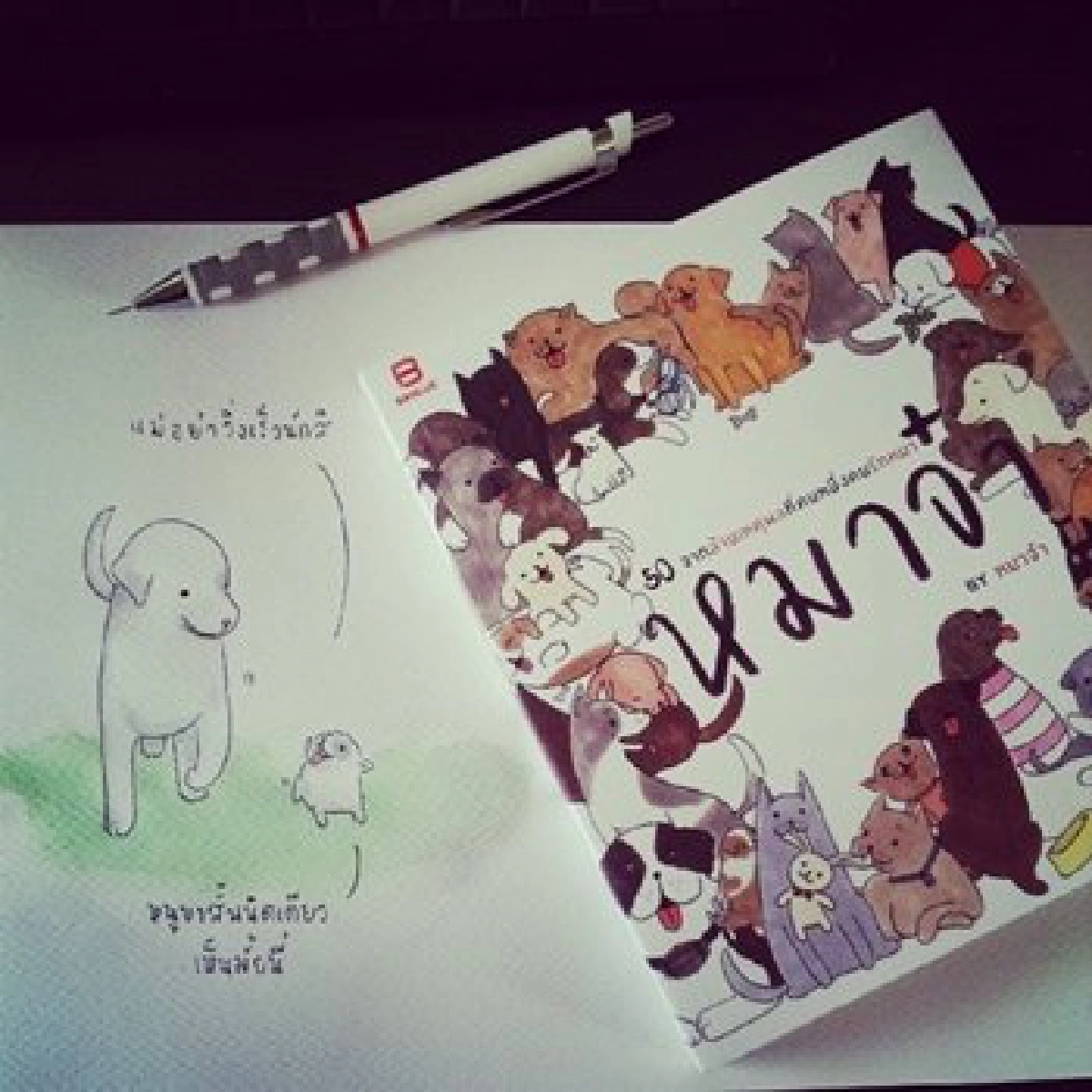 พบ'นัด'เจ้าของ'หมาจ๋า'ที่สองขารัก...สี่ขาปลื้ม