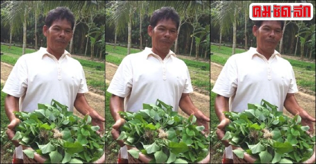 เกษตรกรคนเก่ง : 'สมชาย สุวรรณชาตรี' เกษตรกรคนเก่ง : 'สมชาย สุวรรณชาตรี'