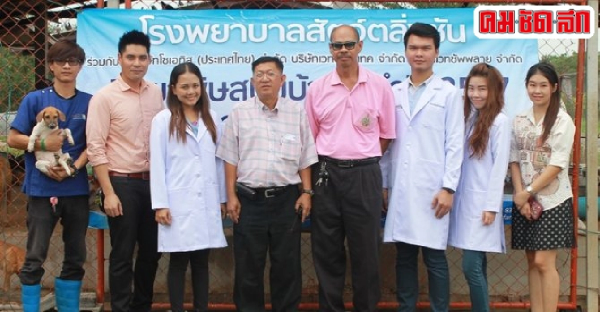 อึ้ง!สุนัขจรจัดพุทธมณฑลกว่า300ตัว