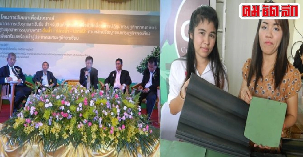 จับมือขับเคลื่อนแก้วิกฤติยางพาราชุบชีวิตเกษตรกรก่อนล่มสลาย