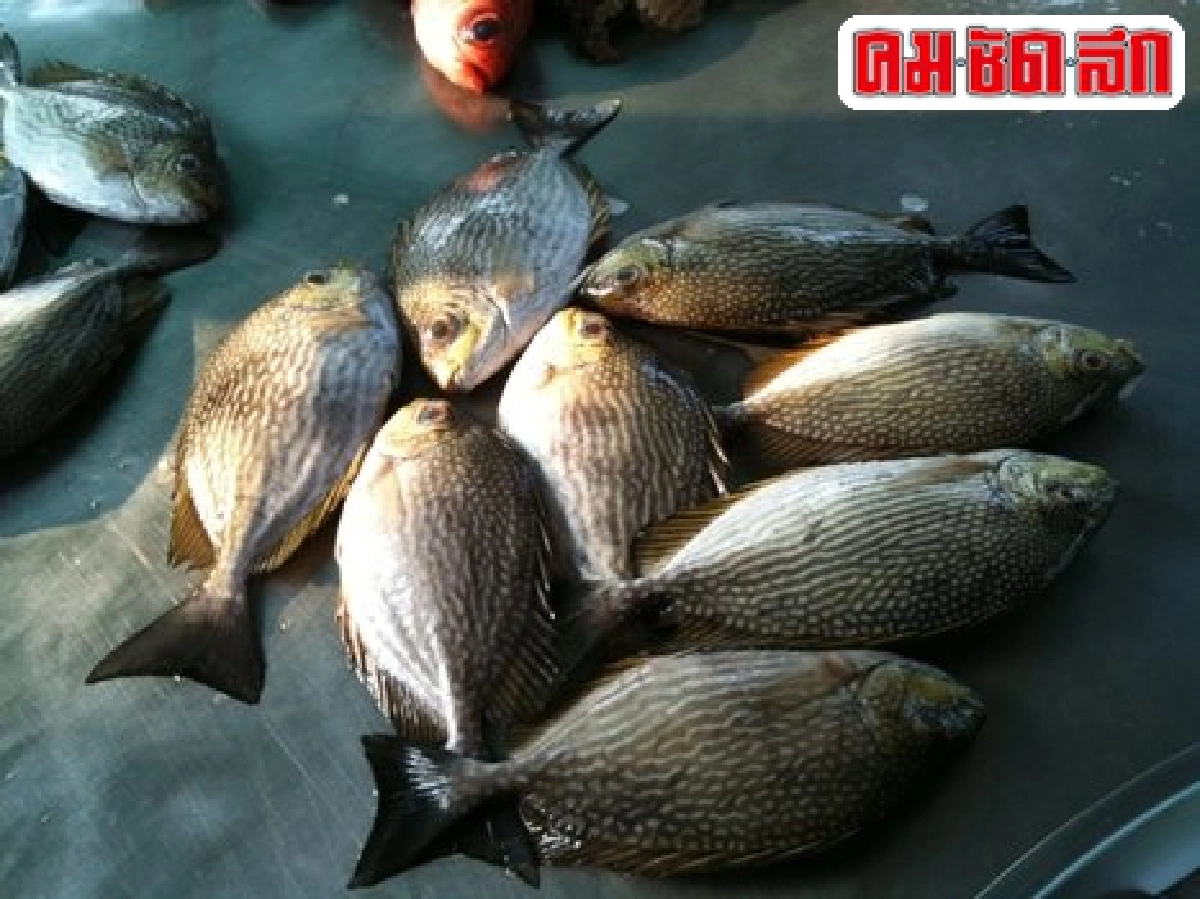 บ้านกรูดมีชีวิต ตลาดสดมีชีวา บ้านกรูดมีชีวิต ตลาดสดมีชีวา