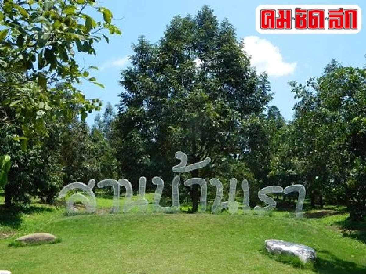 อิ่มไม่อั้นอาณาจักรทุเรียน'สวนบ้านเรา'