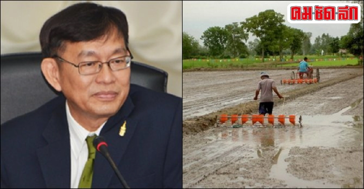 'เครื่องหยอดข้าว'ลดต้นทุนการผลิต 'เครื่องหยอดข้าว'ลดต้นทุนการผลิต