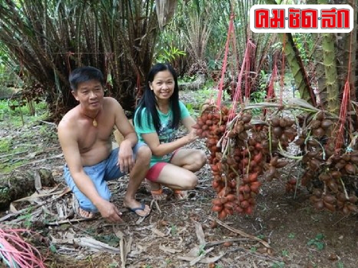 เกษตรกรคนเก่ง : 'จิตร ทรามาศ'