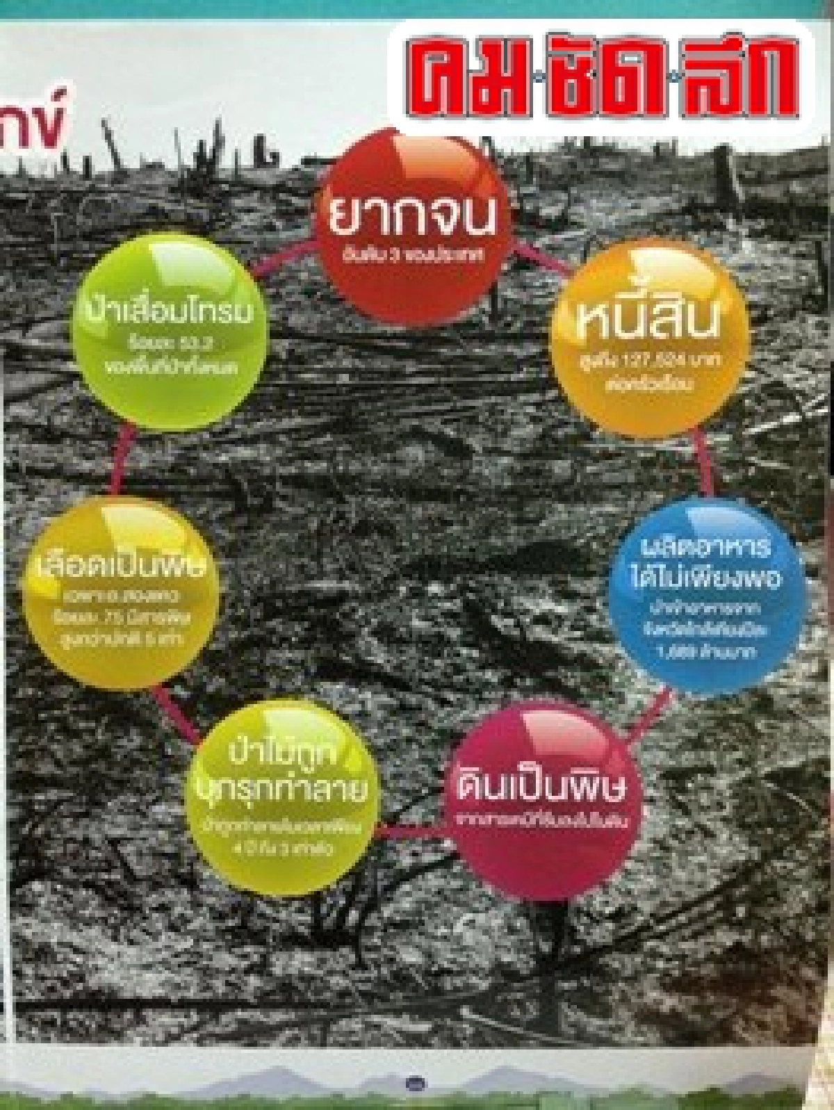 รักษ์น่าน:ปลูกป่า...แบบปิดทองหลังพระ รักษ์น่าน:ปลูกป่า...แบบปิดทองหลังพระ