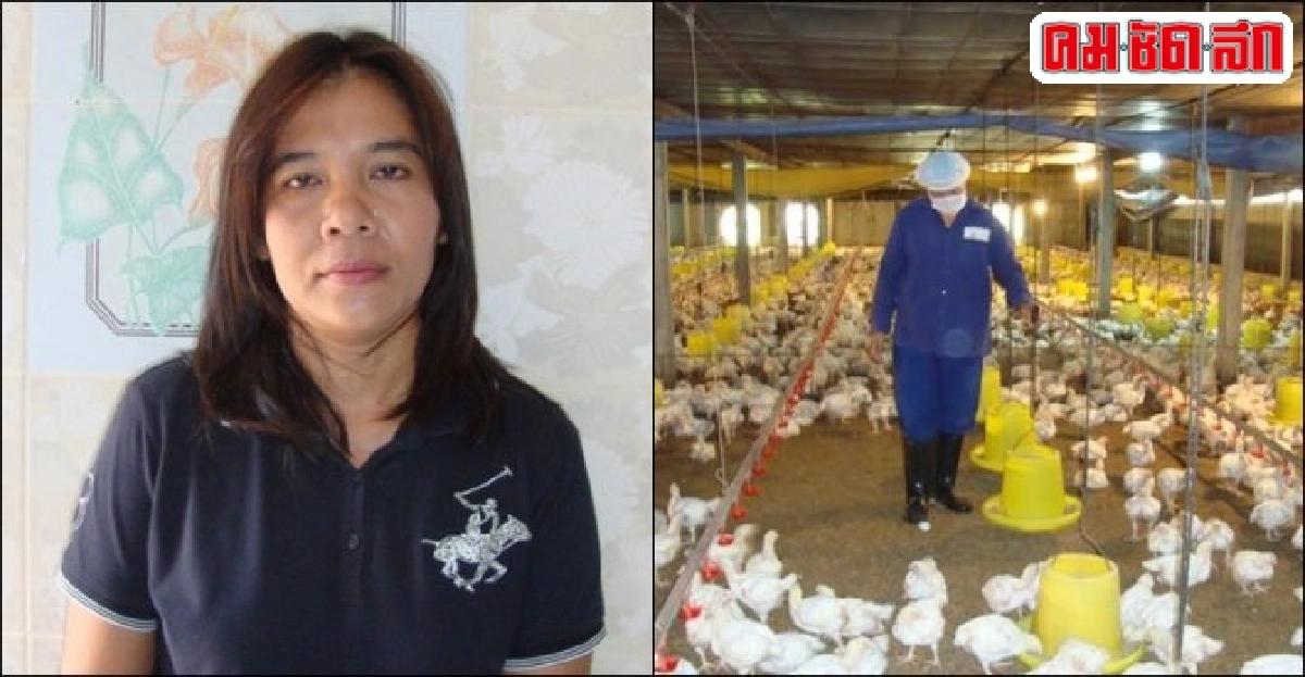 ผันชีวิตพนง.สู่'เลี้ยงไก่'สร้างมั่นคงชีวิต ผันชีวิตพนง.สู่'เลี้ยงไก่'สร้างมั่นคงชีวิต
