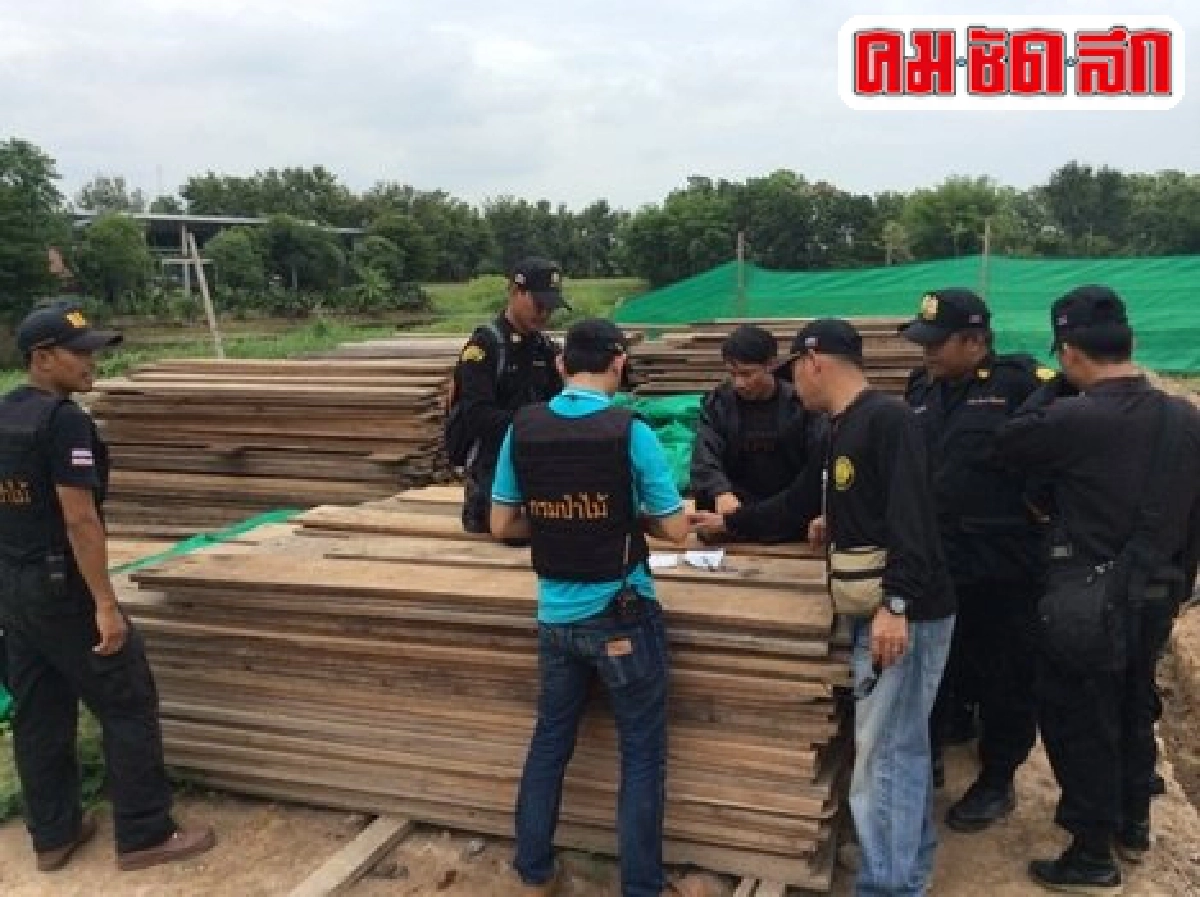 ยึดไม้สักค่า10ล.บนที่ดินลูกชาย'เยาวภา'