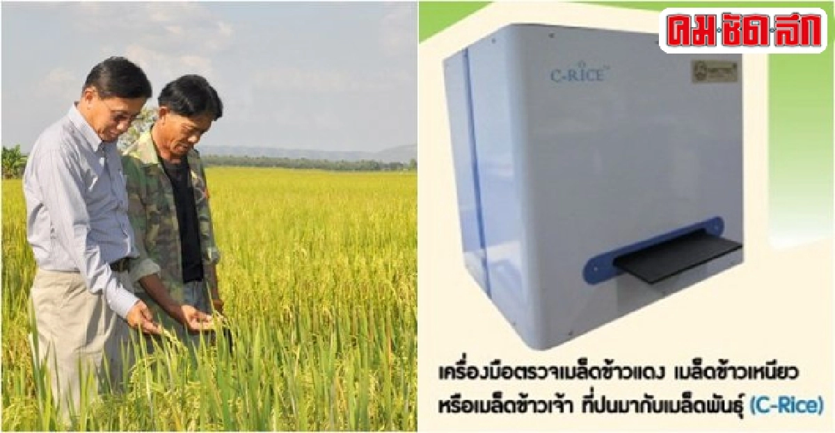 โชว์นวัตกรรมตรวจ'พันธุ์ข้าว' โชว์นวัตกรรมตรวจ'พันธุ์ข้าว'