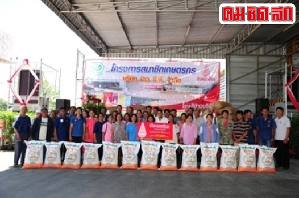 ชาวนาทุ่งกุลาฯทำนา'ต้นทุนต่ำ' ชาวนาทุ่งกุลาฯทำนา'ต้นทุนต่ำ'