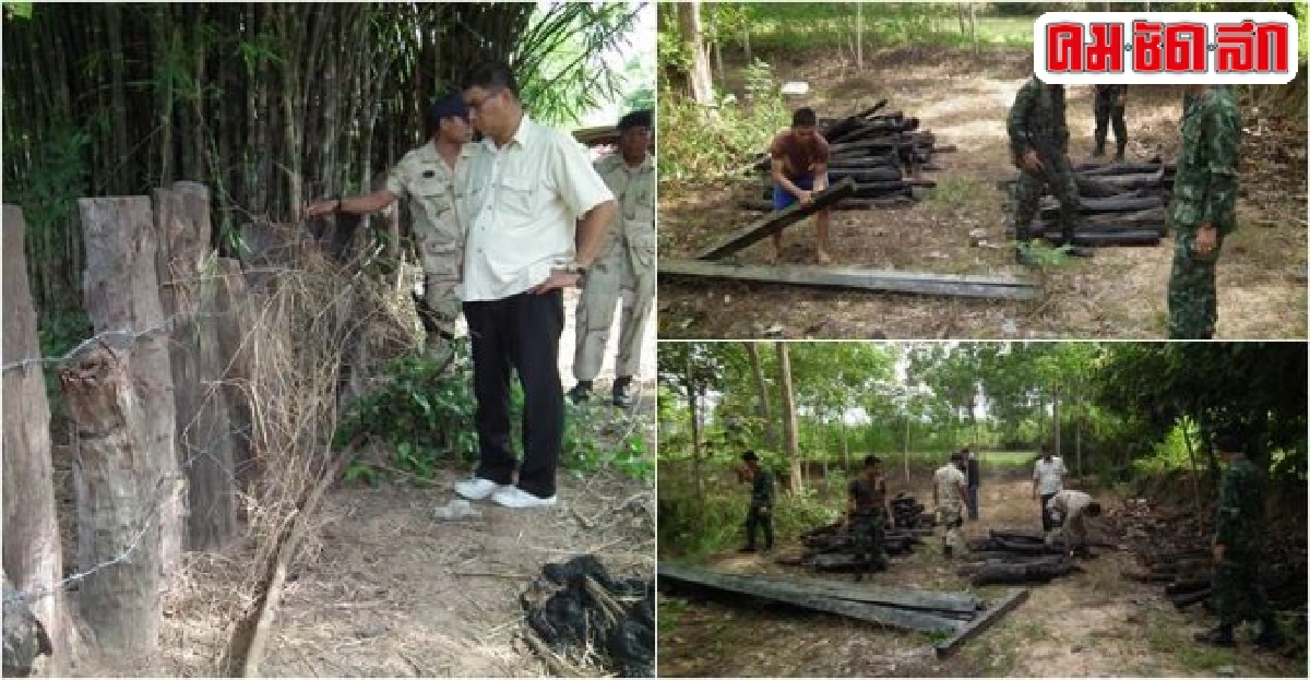 ทหารบุกทลายแหล่งรับซื้อไม้พะยูงค่า50ล.