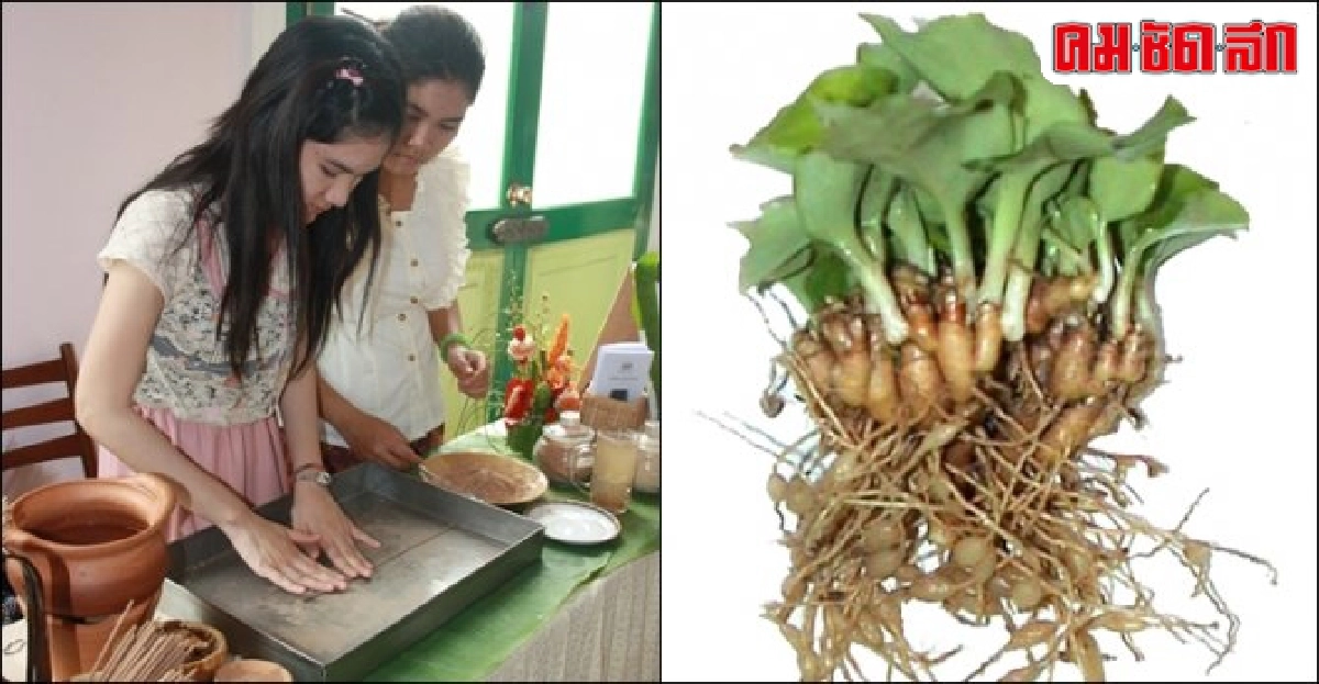 หลับสบายคลายเครียดด้วยธูปหลับจาก 'ว่านหอม'
