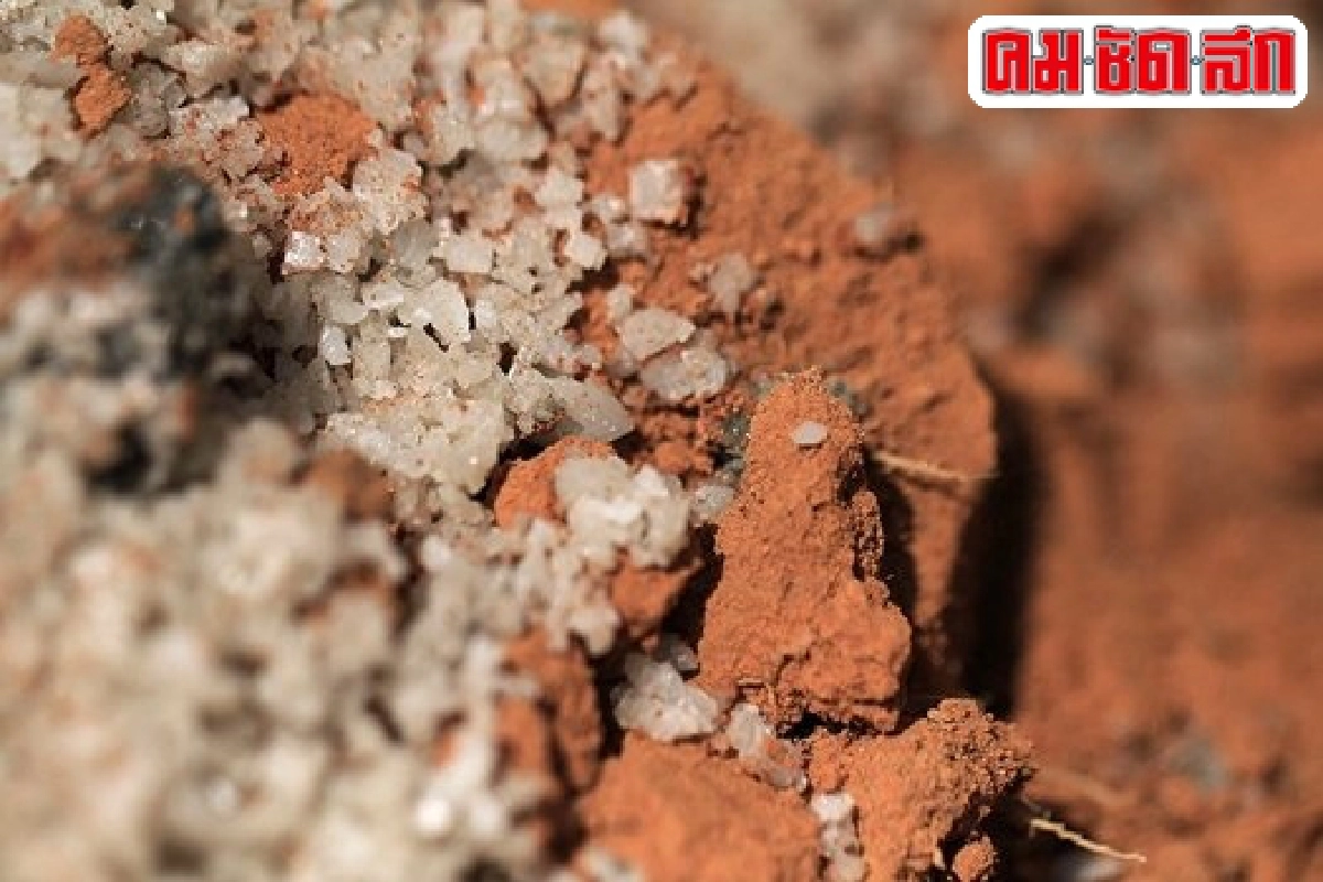 เที่ยวป่าเพื่อป่า : ปันใจ ให้ป่ายัง เที่ยวป่าเพื่อป่า : ปันใจ ให้ป่ายัง