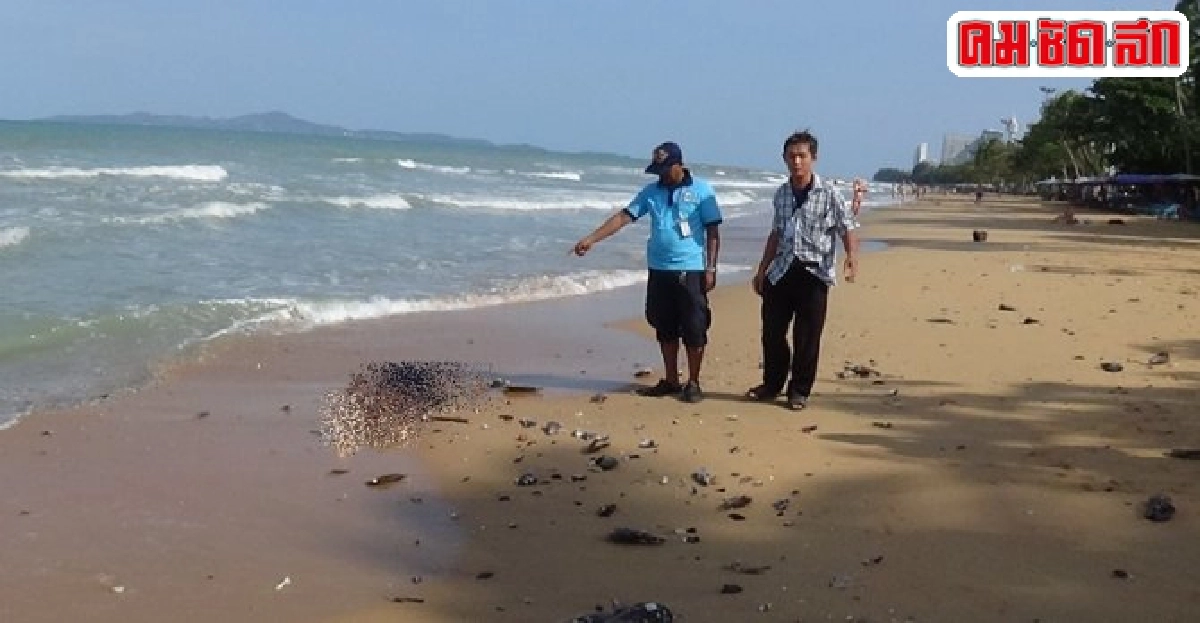 ผงะ!พบศพชาวต่างชาติตายเกยหาดจอมเทียน ผงะ!พบศพชาวต่างชาติตายเกยหาดจอมเทียน