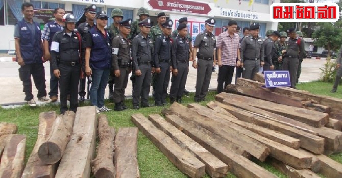 เข้มอำนาจปราบปรามทำลายป่า เข้มอำนาจปราบปรามทำลายป่า