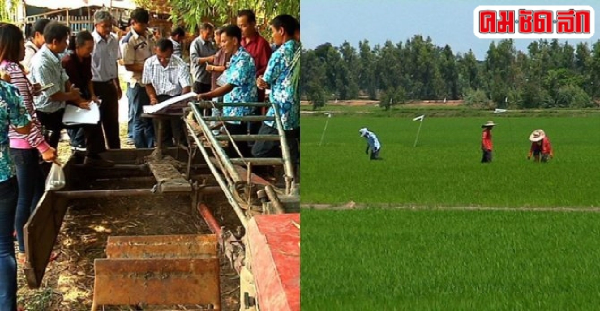 พลิกวิกฤติข้าวฟื้นชีวิตชาวนา พลิกวิกฤติข้าวฟื้นชีวิตชาวนา