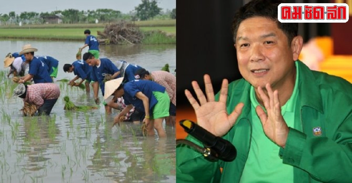 ปิดฉาก'จำนำข้าว'คืนความสุขชาวนามุ่งลดต้นทุน ปิดฉาก'จำนำข้าว'คืนความสุขชาวนามุ่งลดต้นทุน