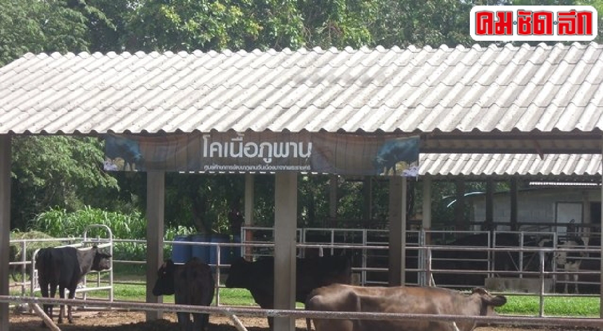 'ศูนย์ภูพาน' ติดอาวุธทางปัญญาสู่ 'ความพอเพียง' 'ศูนย์ภูพาน' ติดอาวุธทางปัญญาสู่ 'ความพอเพียง'