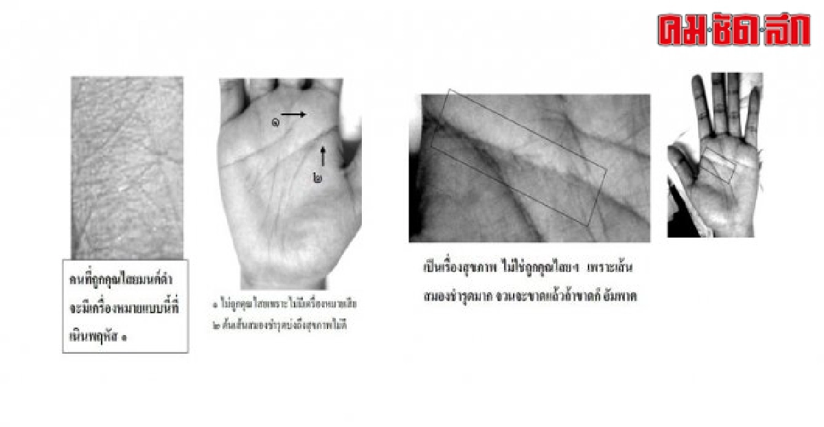 หัตถศาสตร์:ลูกหนูถูกคุณไสย!!?