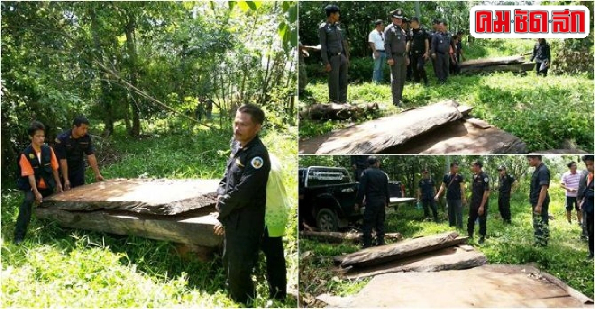 ยึดไม้ตะเคียนแปรรูปอายุกว่า200ปีซ่อนทิ้งในป่าชุมชน