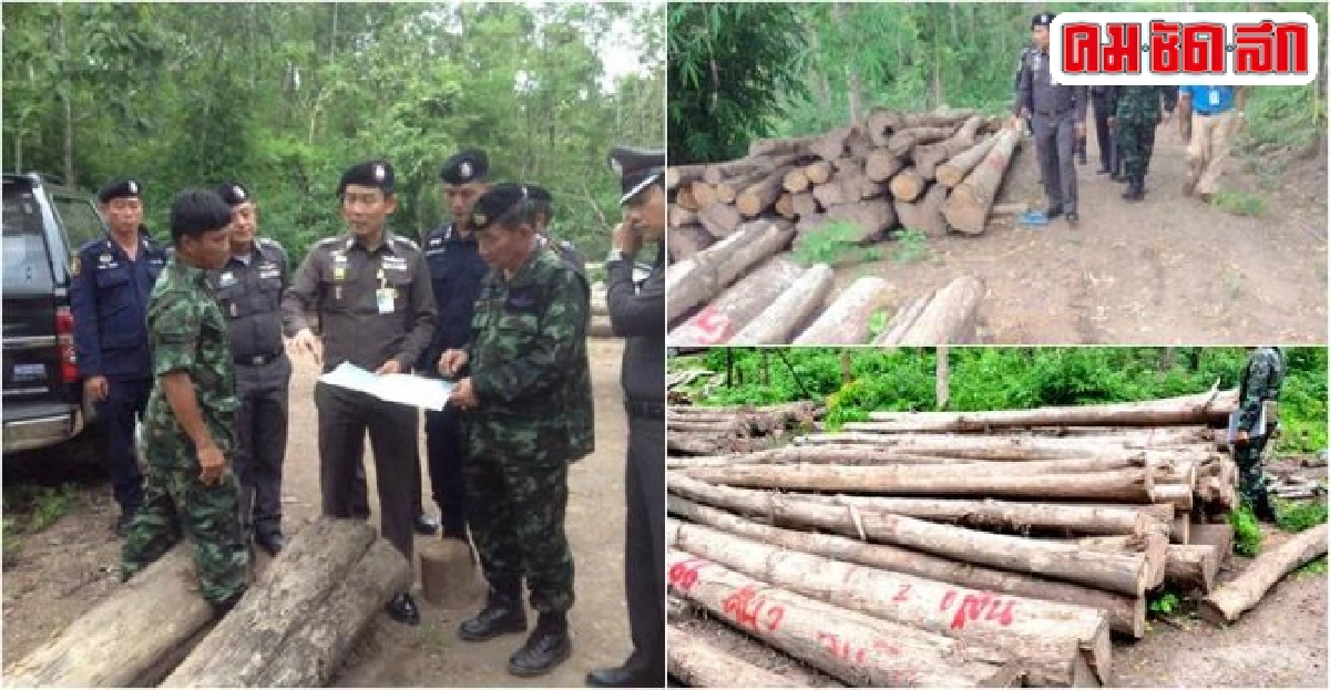 ยึดไม้สัก-ไม้ประดู่กว่า1,500 ท่อน ยึดไม้สัก-ไม้ประดู่กว่า1,500 ท่อน
