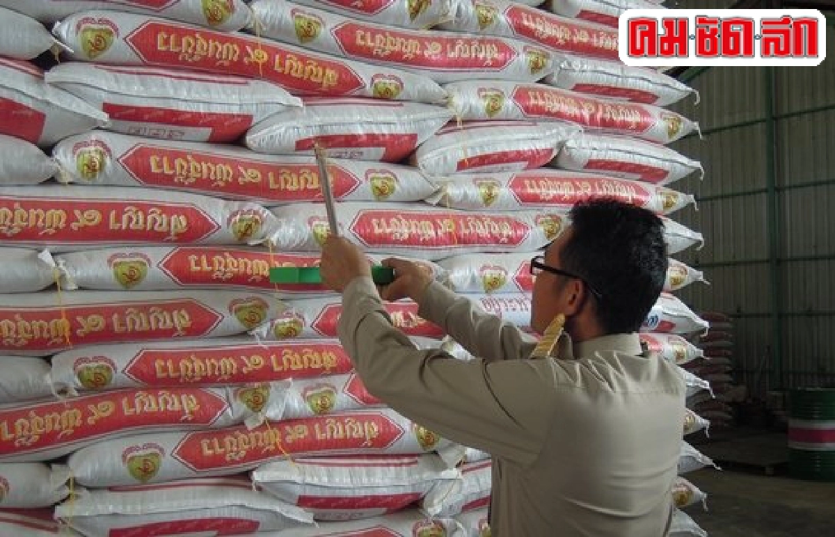 'กรมข้าว'ลุยตรวจเมล็ดพันธุ์คุณภาพอีกทางช่วยชาวนา'ลดต้นทุน'