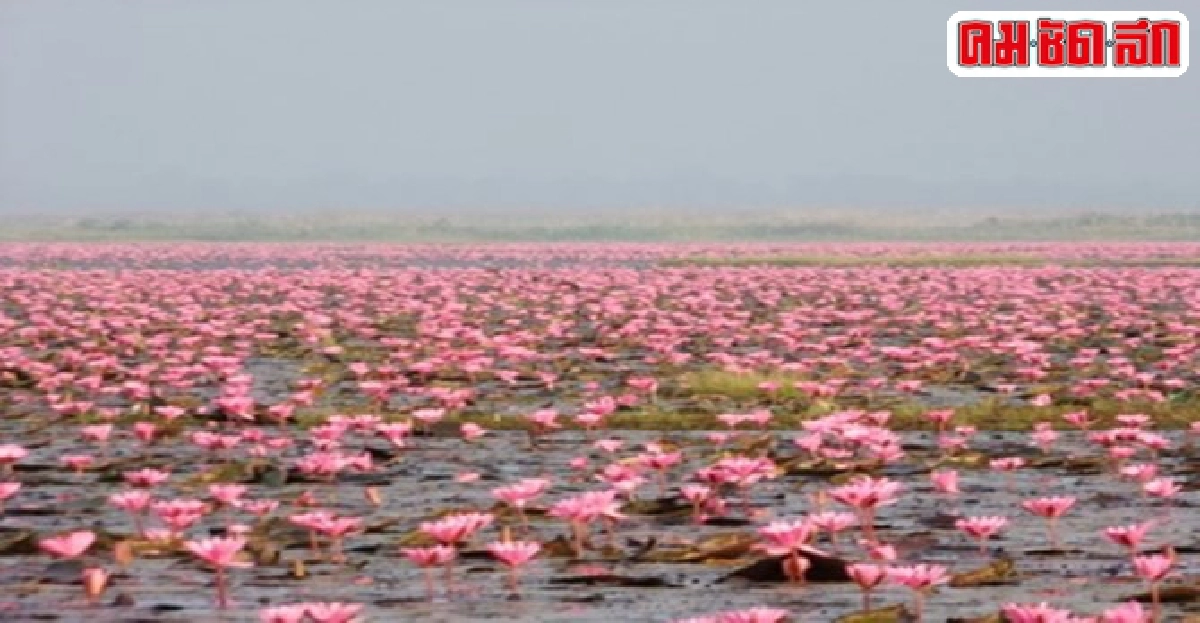 ทะเลสาบหนองหานอุดรธารีดังกระหึ่มโลก