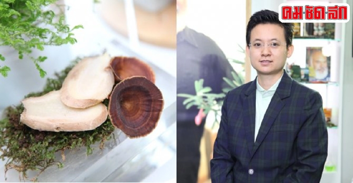 สร้างสมดุลผิวจากเห็ดธรรมชาติ