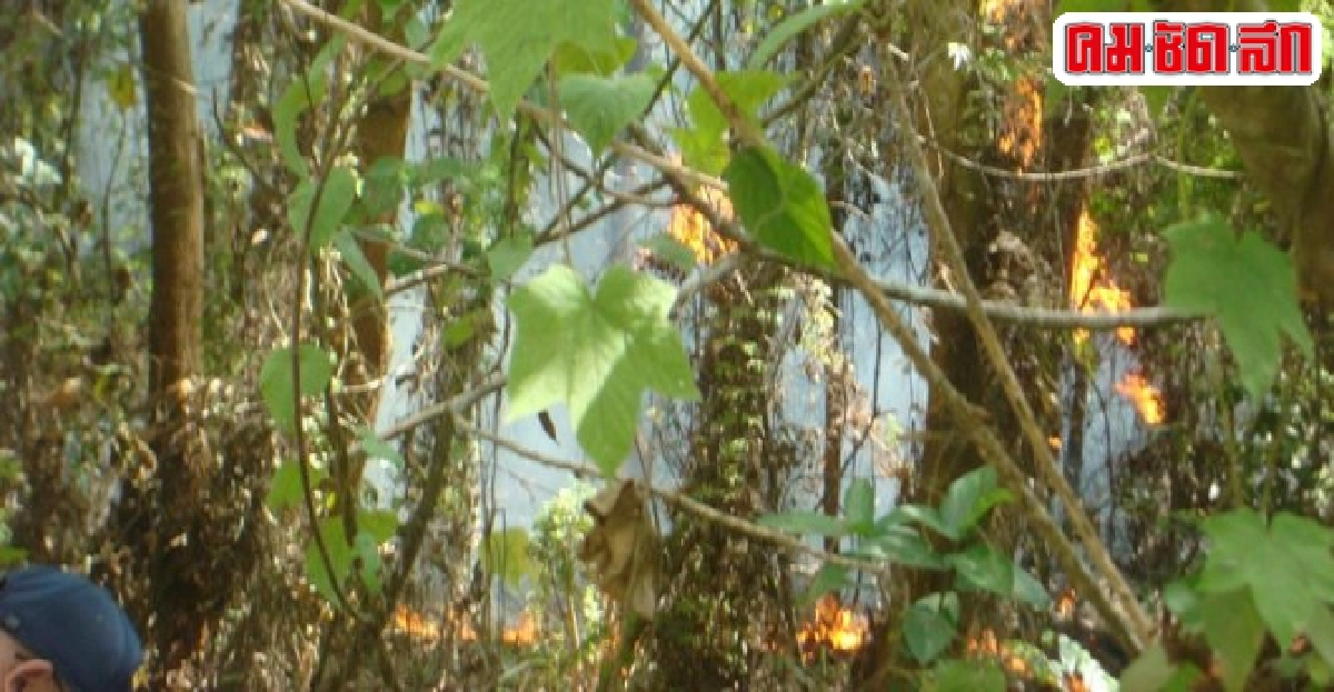 ไฟไหม้ป่าพรุยังวิกฤติ!ลามกว่า150ไร่