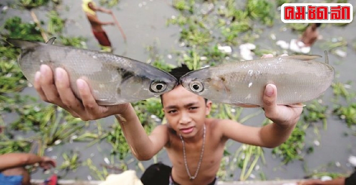 อาชีพพิเศษเฉพาะคนเวียดนาม