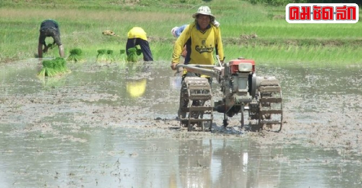 สสจ.เตือน'โรคฉี่หนู'ระบาดป่วยแล้ว14ราย สสจ.เตือน'โรคฉี่หนู'ระบาดป่วยแล้ว14ราย