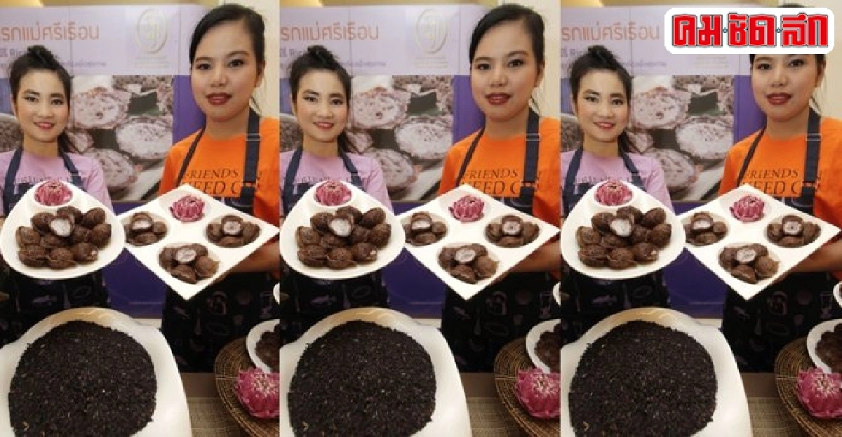 ข้าวไรซ์เบอร์รี่ช่วยชาวนาลดปากแหว่งเพดานโหว่ ข้าวไรซ์เบอร์รี่ช่วยชาวนาลดปากแหว่งเพดานโหว่