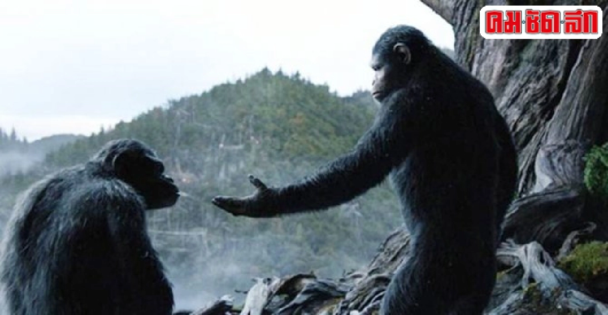 'ต้องดู Begin Again และ Dawn of the Planet of the Ape' 'ต้องดู Begin Again และ Dawn of the Planet of the Ape'