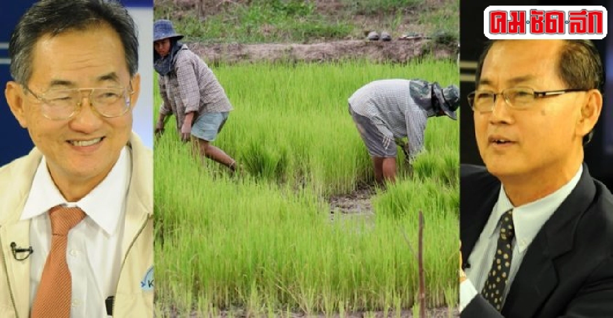 หวัง'ยุทธศาสตร์ข้าวไทย' หนุนปฏิรูป-สู่อนาคตใหม่ที่ยั่งยืน