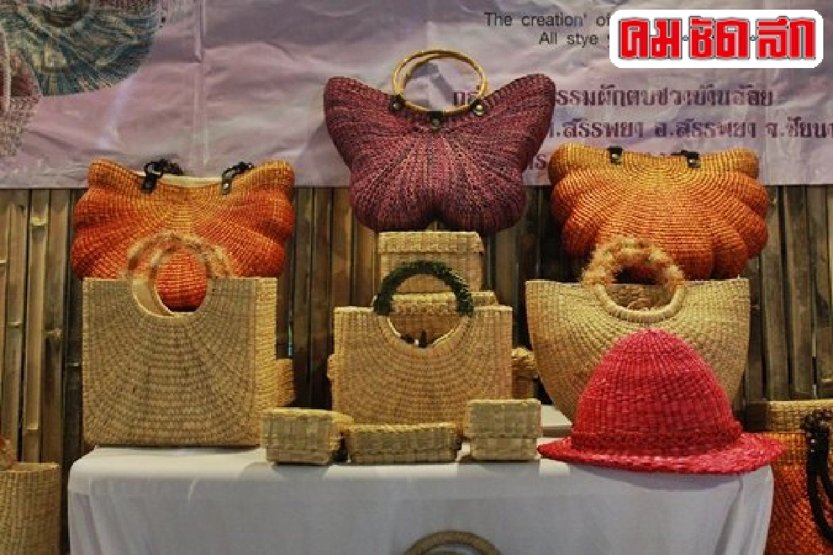 จักสาน 'ผักตบชวาบ้านอ้อย' โอท็อปชัยนาท-รุกโกอินเตอร์ จักสาน 'ผักตบชวาบ้านอ้อย' โอท็อปชัยนาท-รุกโกอินเตอร์