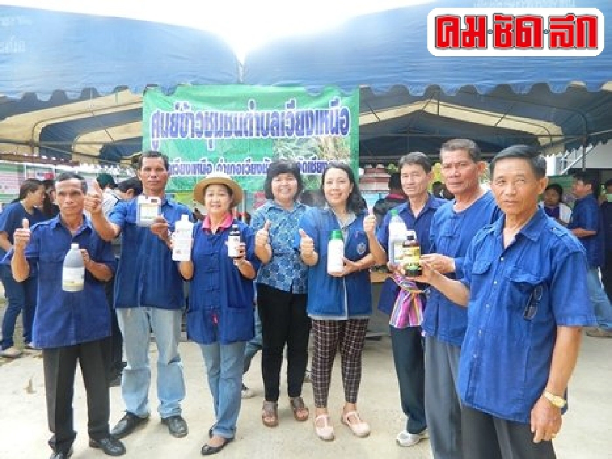 สัมผัสวิถีชีวิตชาวนาปลูกข้าวทุนต่ำ สัมผัสวิถีชีวิตชาวนาปลูกข้าวทุนต่ำ