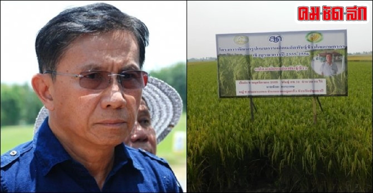 ดันศูนย์ข้าวชุมชนผลิตเมล็ดพันธุ์สู่เออีซี ดันศูนย์ข้าวชุมชนผลิตเมล็ดพันธุ์สู่เออีซี